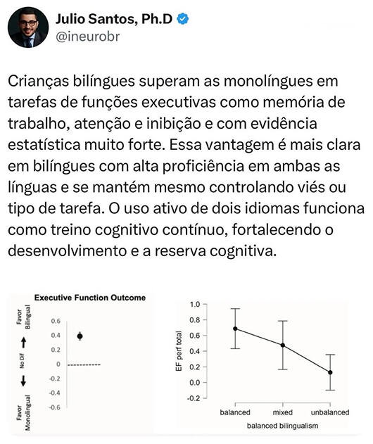 Estudo bilinguismo funções executivas
